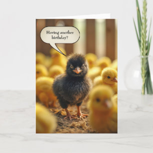 Black Baby Chick Birthday Spaß Karte