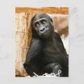 Black Baby Monkey Postkarte (Vorderseite)