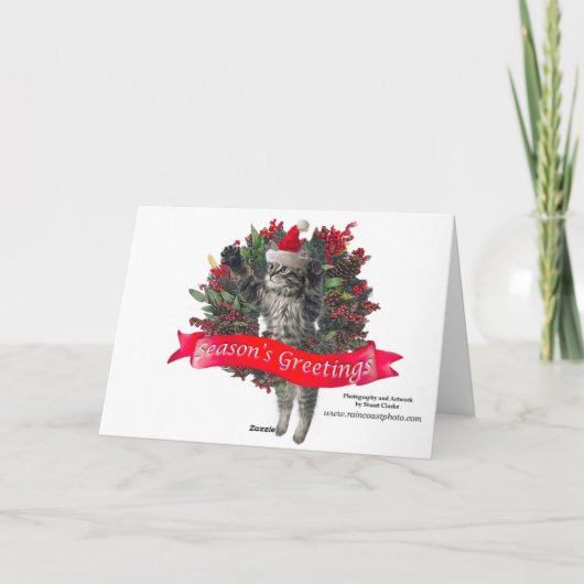 Black Bar Cub Weihnachten (Rückseite)