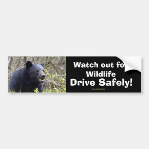 Black Bar Cub Wildlife Supporter Autoaufkleber