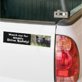 Black Bar Cub Wildlife Supporter Autoaufkleber (Auf Lkw)