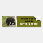 Black Bar Cub Wildlife Supporter Autoaufkleber (Vorne)
