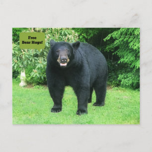 Black Bar - "Cubby Free Bären Hugs!" Postkarte
