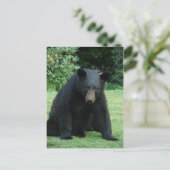 Black Bar - "Cubby Ich höre zu!" Postkarte (Stehend Vorderseite)