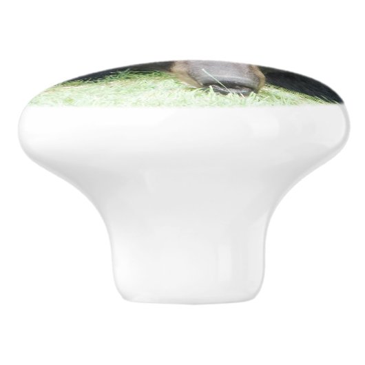 Black Bar - "Cubby" Keramik Knoblauch Keramikknauf (Seitenansicht)