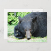 Black Bar - "Cubby Liebe" Postkarte (Vorne/Hinten)