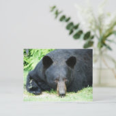 Black Bar - "Cubby" Postkarte (Stehend Vorderseite)