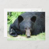 Black Bar - "Cubby" Postkarte (Vorne/Hinten)