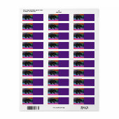 Black Bar Spirit Northern Light Colors (Vorne)