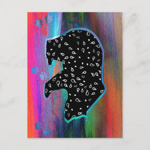 Black Bar Spirit Northern Light Colors Postkarte