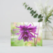 Black Barlow Columbine Postkarte (Stehend Vorderseite)