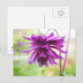 Black Barlow Columbine Postkarte (Vorne/Hinten)