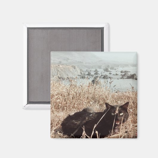 Black Beach Cat Magnet (Vorderseite/Rückseite)