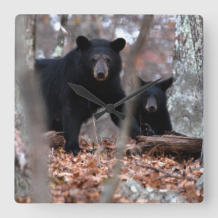 Black Bear and Cub Clock Quadratische Wanduhr