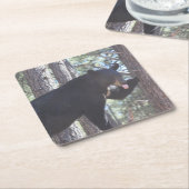 Black Bear Drink Untersetzer (angewinkelt)