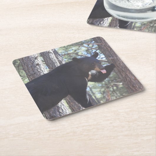 Black Bear Drink Untersetzer (angewinkelt)