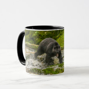 Black Bear Fishing   Qua Creek British Columbia Tasse