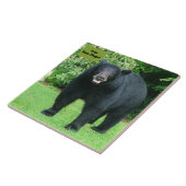 Black Bear - "Free Bar Hugs-Cubby the Black Bar" Fliese (Seite)