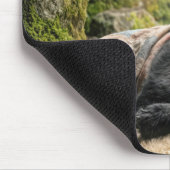 Black Bear Hibernating Under a Quilt Mousepad (Ecke)