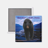BLACK BEAR Hyder, Alaska Wildlife Magnet (Vorderseite/Rückseite)