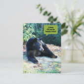 Black Bear - "Ich denke, ich werde heute nur glück Postkarte (Stehend Vorderseite)