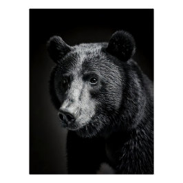 Black Bear in fine art photography Poster