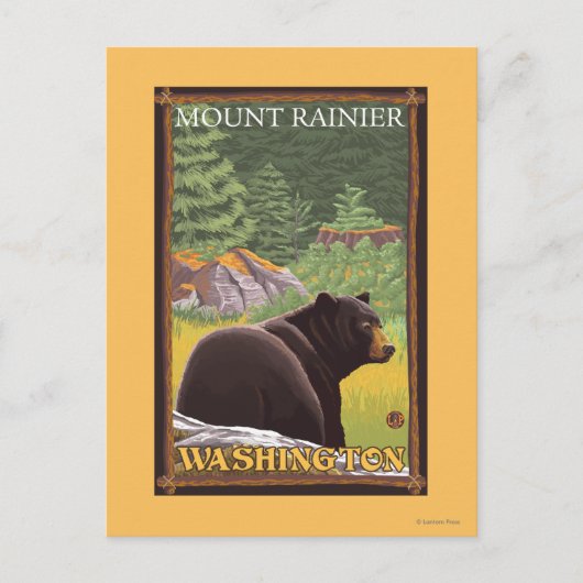 Black Bear in Forest - Mount Rainier, Washington Postkarte (Vorderseite)