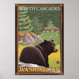 Black Bear in Forest - North Cascades, Washingto Poster