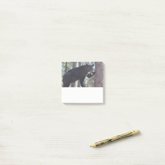 Black Bear Post it Notes Post-it Klebezettel (Auf Schreibtisch)