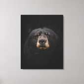 BLACK BEAR Stretched Canvas Print Leinwanddruck (Vorderseite)