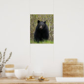 BLACK BEAR Wildlife Animal Foto Poster (Küche)