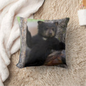 Black Bears Cub Lounging Kissen (Decke)