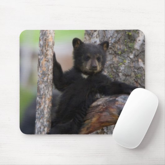 Black Bears Cub Lounging Mousepad (Mit Mouse)