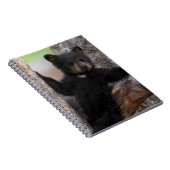 Black Bears Cub Lounging Notizblock (Rechte Seite)