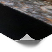 Black Bears Cub Lounging Poster (Ecke)