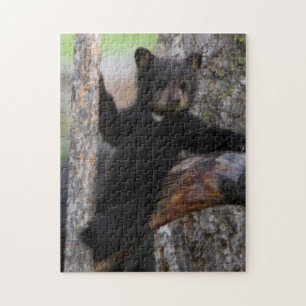 Black Bears Cub Lounging Puzzle