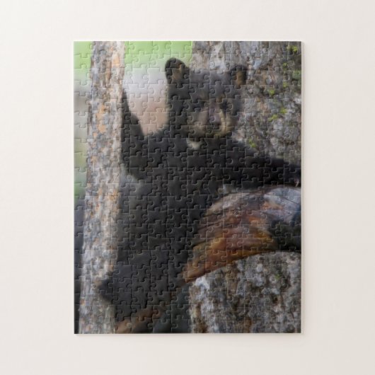 Black Bears Cub Lounging Puzzle (Vertikal)
