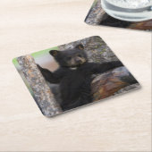 Black Bears Cub Lounging Rechteckiger Pappuntersetzer (angewinkelt)