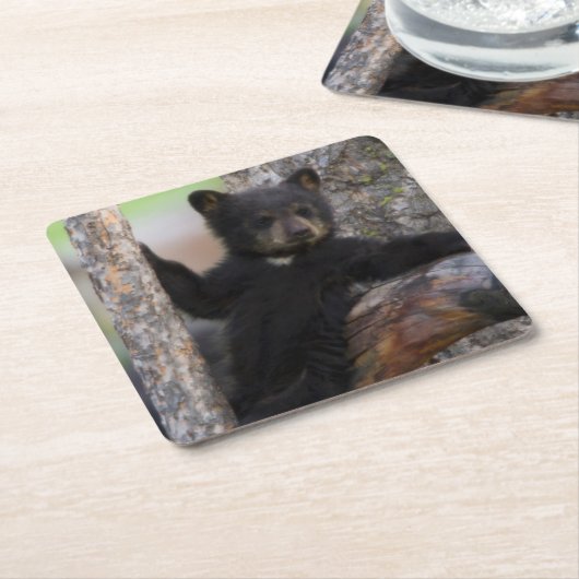 Black Bears Cub Lounging Rechteckiger Pappuntersetzer (angewinkelt)