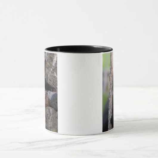 Black Bears Cub Lounging Tasse (Zentrum)