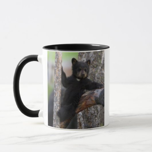 Black Bears Cub Lounging Tasse (Links)