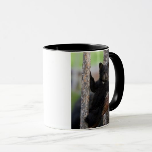 Black Bears Cub Lounging Tasse (VorderseiteRechts)
