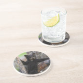 Black Bears Cub Lounging Untersetzer (Seite)