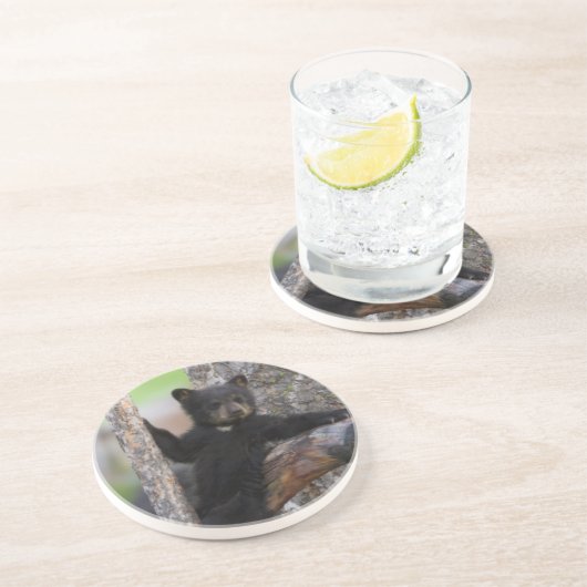 Black Bears Cub Lounging Untersetzer (Seite)