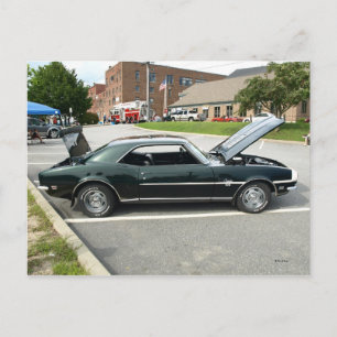 Black Beauty 2 Postkarte