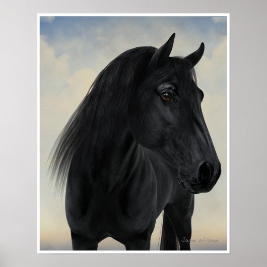 Black Beauty - Black Friesian Horse Portrait Poster (Vorne)