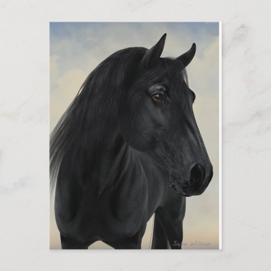 Black Beauty - Black Friesian Horse Portrait Postkarte (Vorderseite)