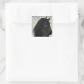 Black Beauty - Black Friesian Horse Portrait Quadratischer Aufkleber (Tasche)