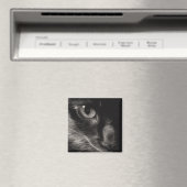 Black Beauty Cat Magnet (In Situ (Geschirrspüler))