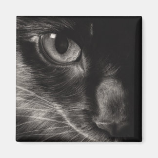 Black Beauty Cat Magnet